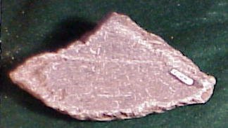 Pottery Sherd                           