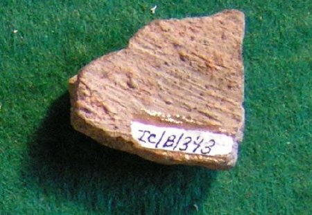 Pottery Sherd                           