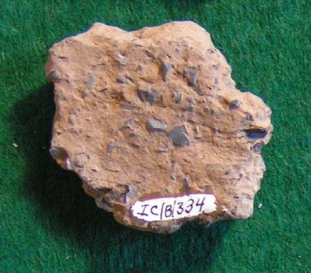 Pottery Sherd                           