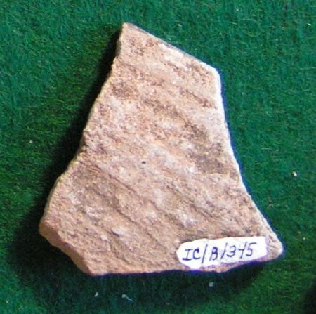 Pottery Sherd                           