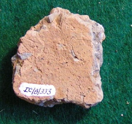 Pottery Sherd                           