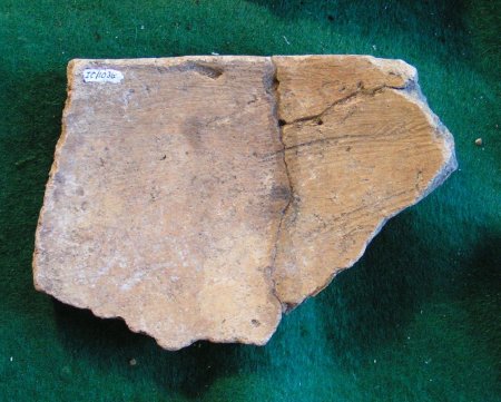 Pottery Sherd                           