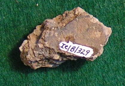 Pottery Sherd                           