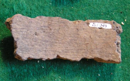 Pottery Sherd                           