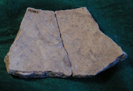 Pottery Sherd                           