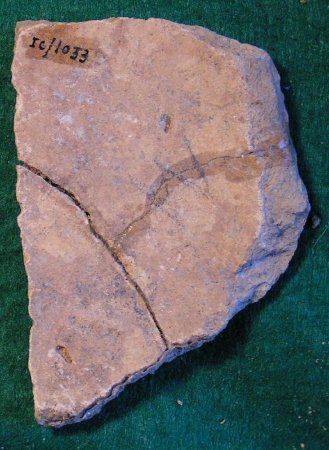 Pottery Sherd                           