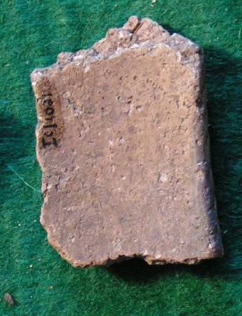 Pottery Sherd                           