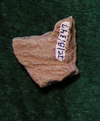 Pottery Sherd                           