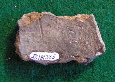 Pottery Sherd                           