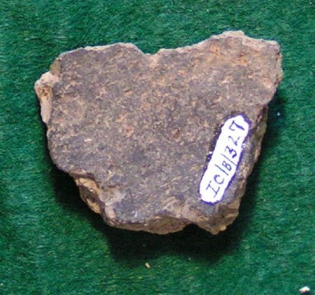 Pottery Sherd                           