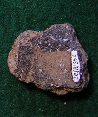 Pottery Sherd                           
