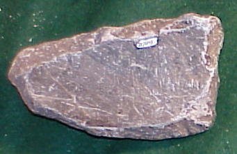 Pottery Sherd                           