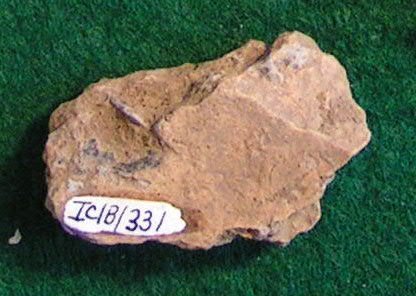 Pottery Sherd                           