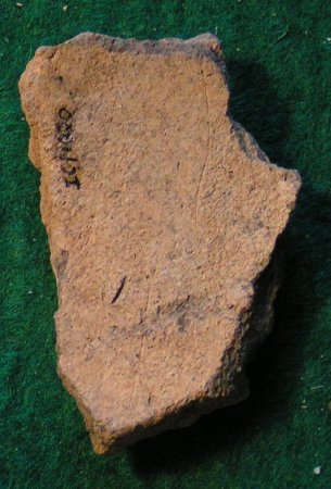 Pottery Sherd                           